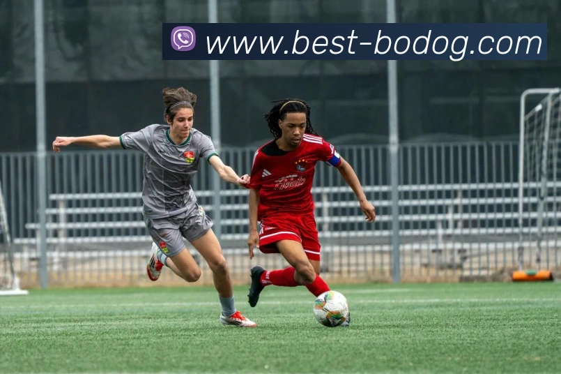 App Interface Preview