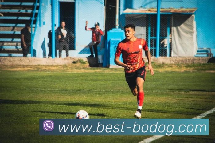 博狗娱乐APP 封面图